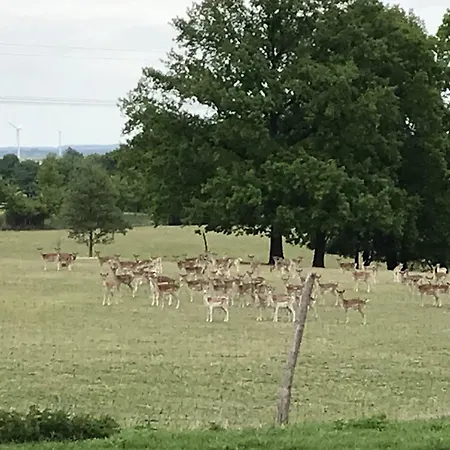 Familie Nahrstedt Parterre
