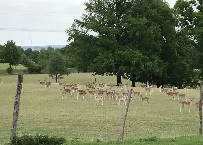 Familie Nahrstedt Parterre